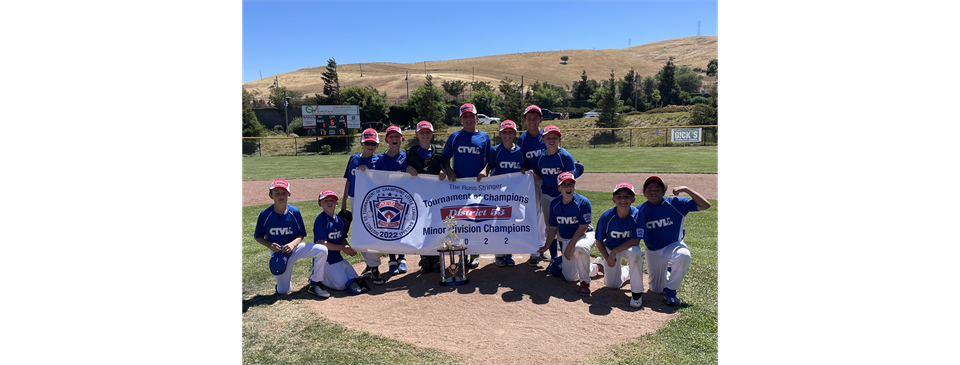 2022 TOC Champs  Minors Dodgers 